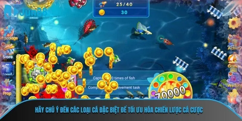 Hãy chú ý đến các loại cá đặc biệt để tối ưu hóa chiến lược cá cược