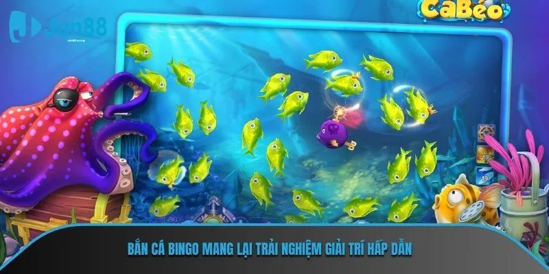 Bắn Cá Bingo mang lại trải nghiệm giải trí hấp dẫn