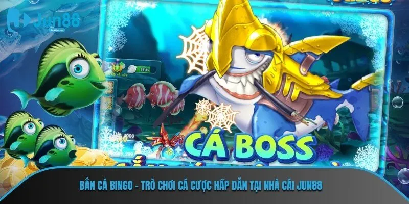 bắn cá bingo