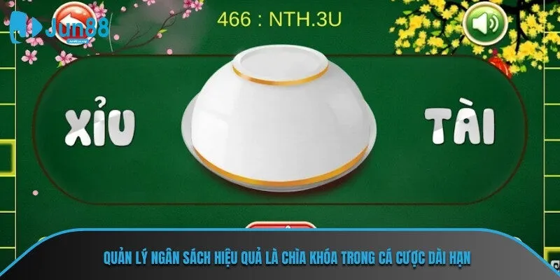 Quản lý ngân sách hiệu quả là chìa khóa trong cá cược dài hạn