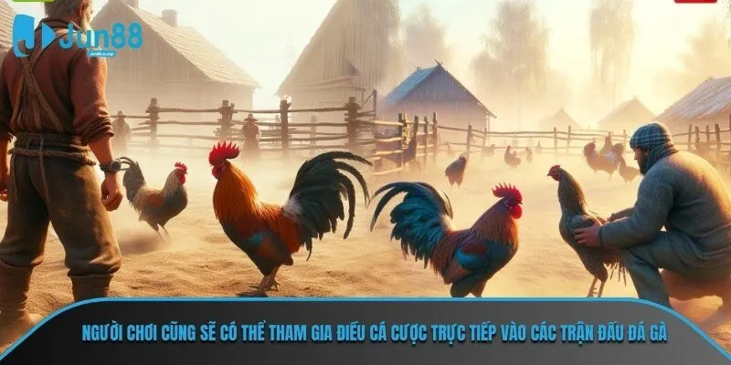 Người chơi cũng sẽ có thể tham gia điều cá cược trực tiếp vào các trận đấu đá gà