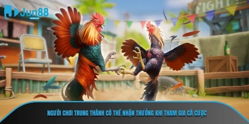 Người chơi trung thành có thể nhận thưởng khi tham gia cá cược