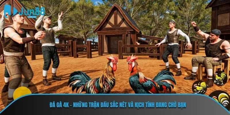 Đá gà 4K