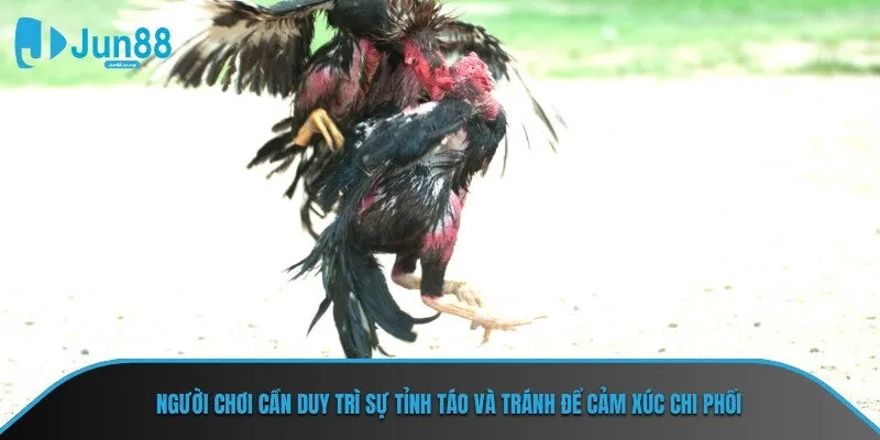 Người chơi cần duy trì sự tỉnh táo và tránh để cảm xúc chi phối