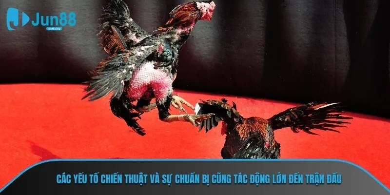 Các yếu tố chiến thuật và sự chuẩn bị cũng tác động lớn đến trận đấu