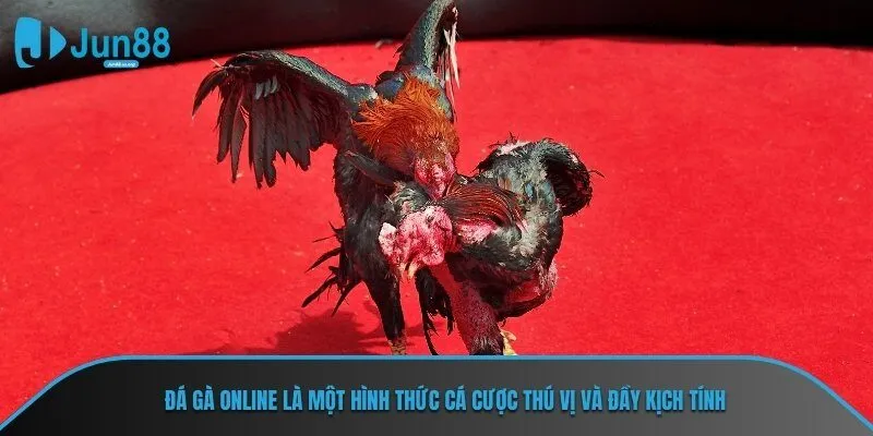 Đá Gà Online là một hình thức cá cược thú vị và đầy kịch tính
