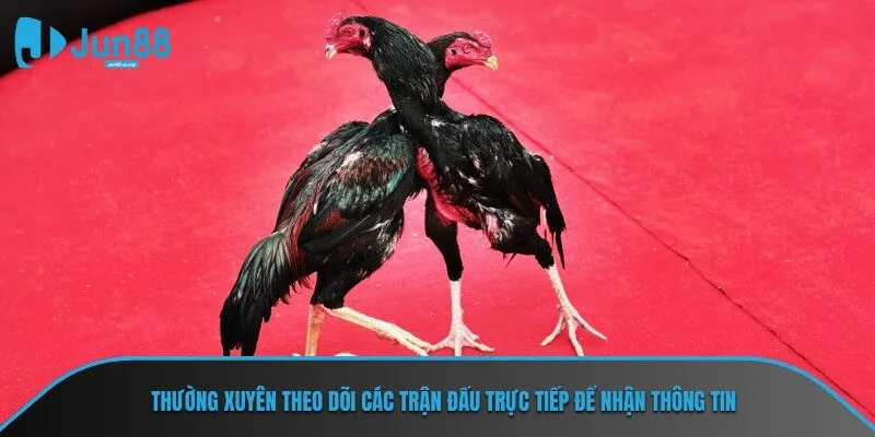 Thường xuyên theo dõi các trận đấu trực tiếp để nhận thông tin