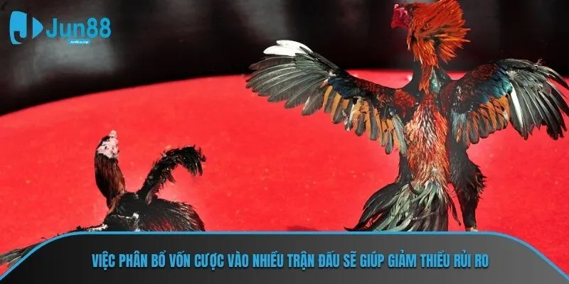 Việc phân bổ vốn cược vào nhiều trận đấu sẽ giúp giảm thiểu rủi ro