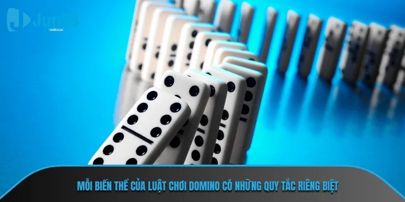 Mỗi biến thể của luật chơi domino có những quy tắc riêng biệt