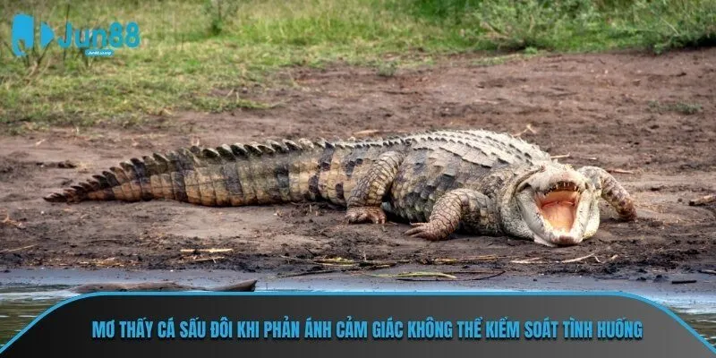 Mơ thấy cá sấu đôi khi phản ánh cảm giác không thể kiểm soát tình huống