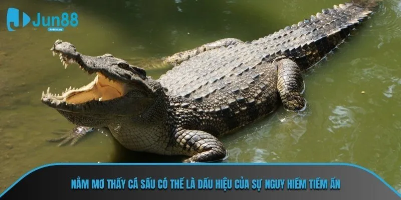 Nằm mơ thấy cá sấu có thể là dấu hiệu của sự nguy hiểm tiềm ẩn