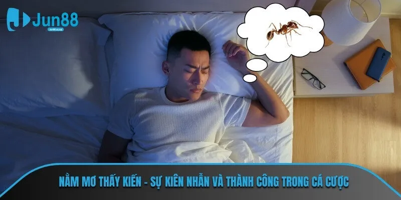 Nằm mơ thấy kiến